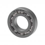 Single row deep groove ball